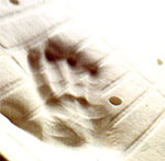 Particolare2